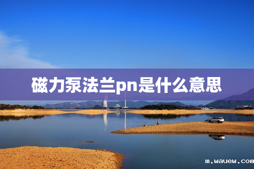 磁力泵法兰pn是什么意思 磁力泵法兰pn是什么意思