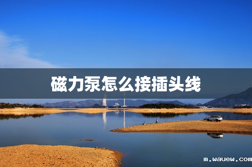 磁力泵怎么接插头线 磁力泵怎么接插头线