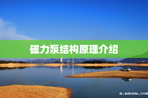 磁力泵结构原理介绍 磁力泵结构原理介绍