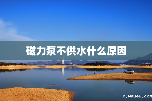 磁力泵不供水什么原因 磁力泵不供水什么原因