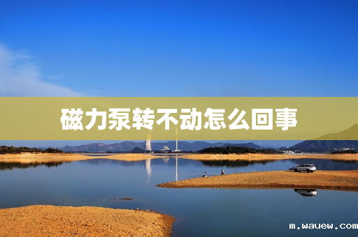 磁力泵转不动怎么回事 磁力泵转不动怎么回事