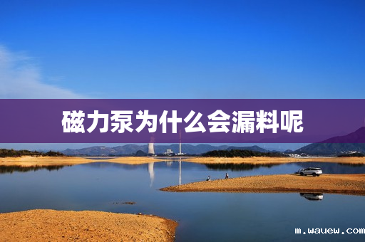 磁力泵为什么会漏料呢 磁力泵为什么会漏料呢