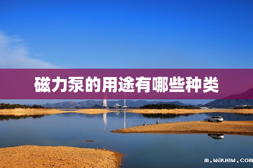 磁力泵的用途有哪些种类 磁力泵的用途有哪些种类