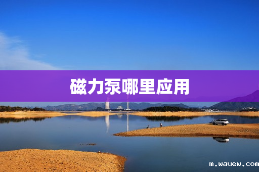 磁力泵哪里应用 磁力泵哪里应用