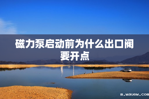 磁力泵启动前为什么出口阀要开点 磁力泵启动前为什么出口阀要开点