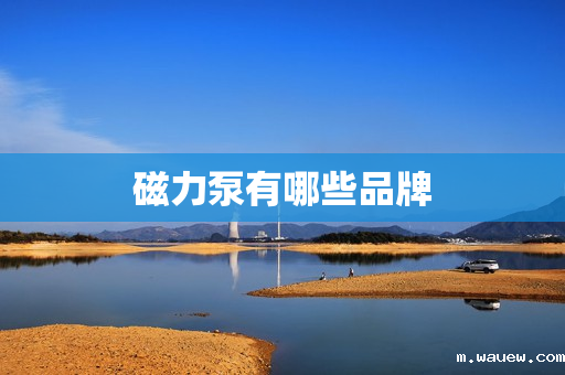 磁力泵有哪些品牌 磁力泵有哪些品牌