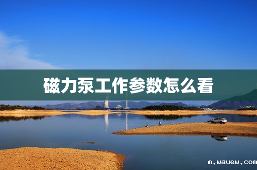 磁力泵工作参数怎么看 磁力泵工作参数怎么看