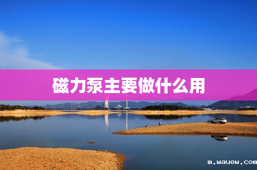 磁力泵主要做什么用 磁力泵主要做什么用