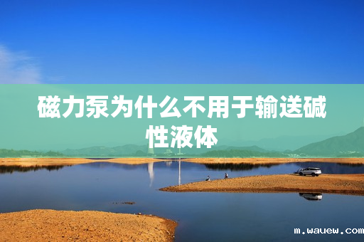 磁力泵为什么不用于输送碱性液体 磁力泵为什么不用于输送碱性液体