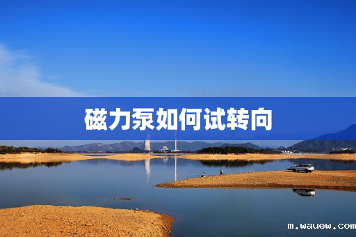 磁力泵如何试转向 磁力泵如何试转向