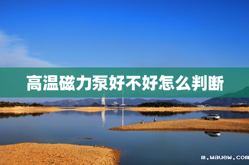 高温磁力泵好不好怎么判断 高温磁力泵好不好怎么判断