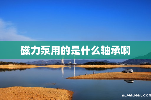 磁力泵用的是什么轴承啊 磁力泵用的是什么轴承啊