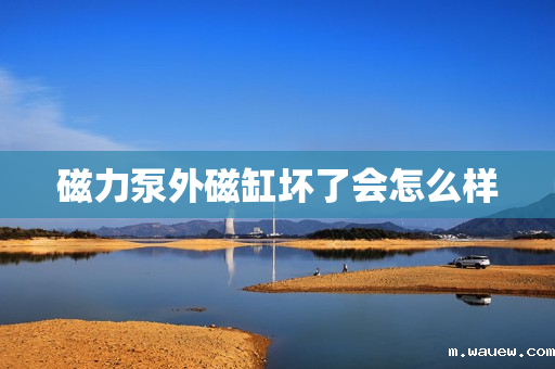 磁力泵外磁缸坏了会怎么样 磁力泵外磁缸坏了会怎么样