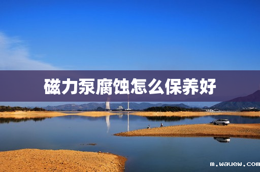 磁力泵腐蚀怎么保养好 磁力泵腐蚀怎么保养好