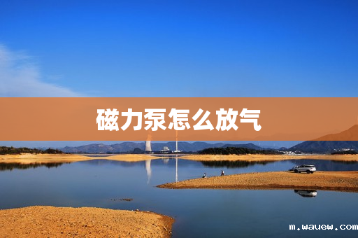 磁力泵怎么放气 磁力泵怎么放气