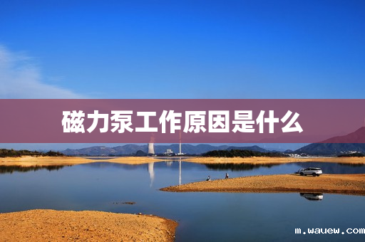 磁力泵工作原因是什么 磁力泵工作原因是什么