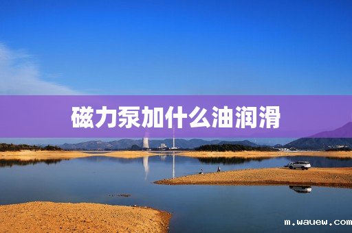 磁力泵加什么油润滑 磁力泵加什么油润滑