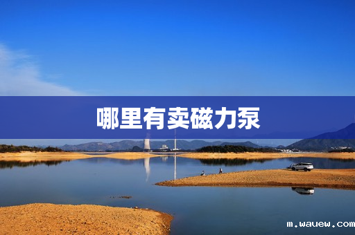 哪里有卖磁力泵 哪里有卖磁力泵