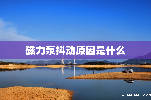 磁力泵抖动原因是什么 磁力泵抖动原因是什么