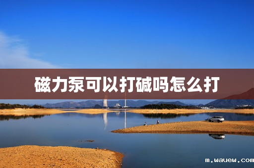 磁力泵可以打碱吗怎么打 磁力泵可以打碱吗怎么打