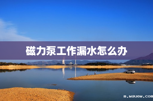 磁力泵工作漏水怎么办 磁力泵工作漏水怎么办