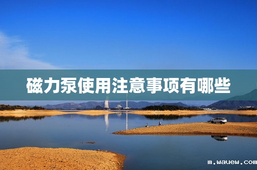 磁力泵使用注意事项有哪些 磁力泵使用注意事项有哪些