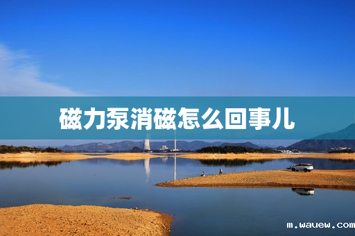 磁力泵消磁怎么回事儿 磁力泵消磁怎么回事儿