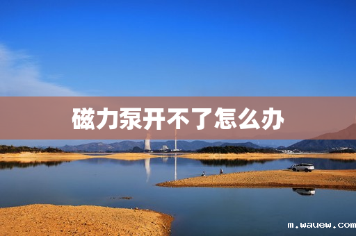 磁力泵开不了怎么办 磁力泵开不了怎么办