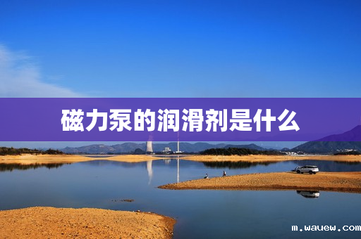 磁力泵的润滑剂是什么 磁力泵的润滑剂是什么