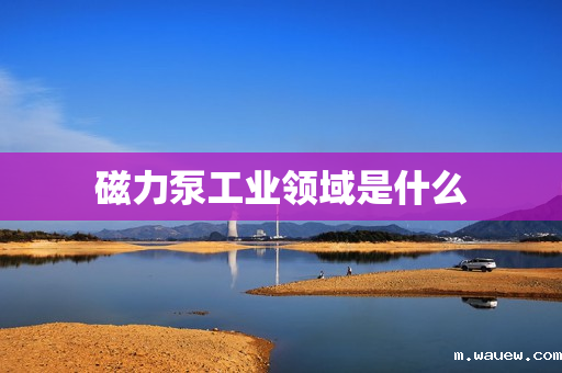 磁力泵工业领域是什么 磁力泵工业领域是什么