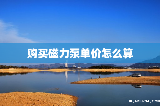 购买磁力泵单价怎么算 购买磁力泵单价怎么算