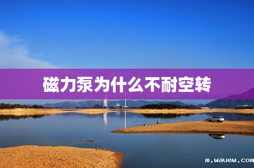 磁力泵为什么不耐空转 磁力泵为什么不耐空转