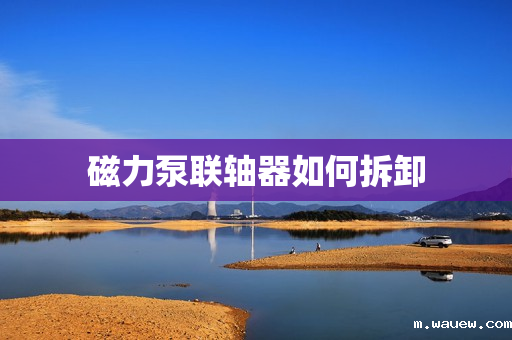 磁力泵联轴器如何拆卸 磁力泵联轴器如何拆卸