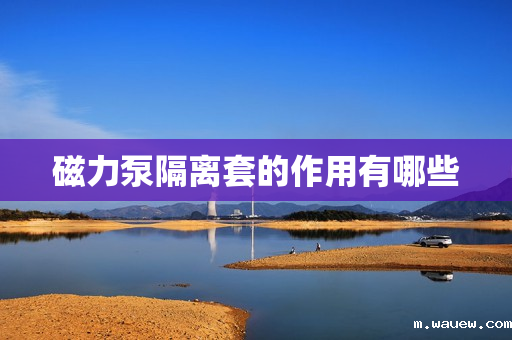 磁力泵隔离套的作用有哪些 磁力泵隔离套的作用有哪些