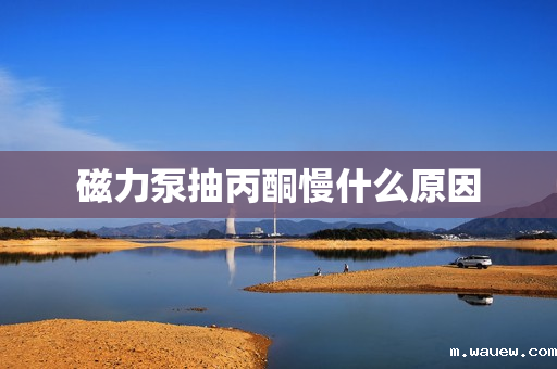 磁力泵抽丙酮慢什么原因 磁力泵抽丙酮慢什么原因