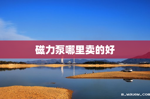 磁力泵哪里卖的好 磁力泵哪里卖的好