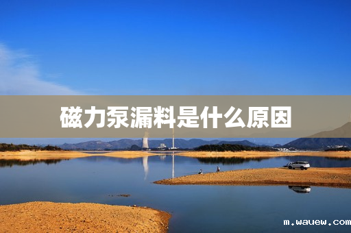 磁力泵漏料是什么原因 磁力泵漏料是什么原因