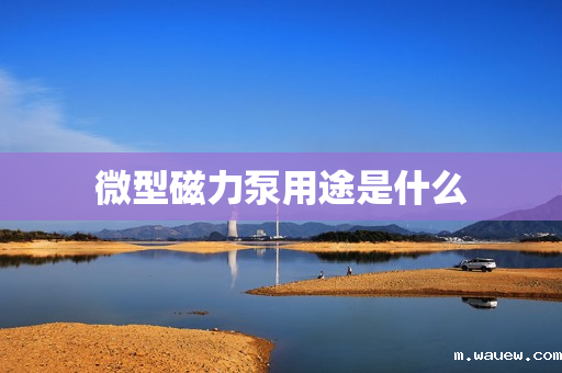 微型磁力泵用途是什么 微型磁力泵用途是什么