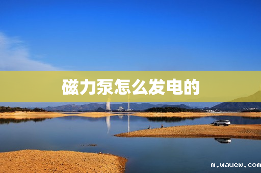 磁力泵怎么发电的 磁力泵怎么发电的