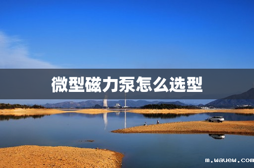 微型磁力泵怎么选型 微型磁力泵怎么选型