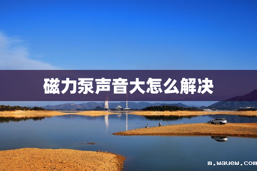 磁力泵声音大怎么解决 磁力泵声音大怎么解决