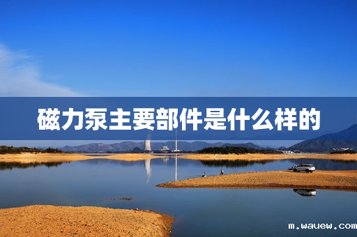 磁力泵主要部件是什么样的 磁力泵主要部件是什么样的
