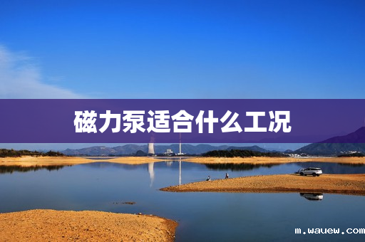 磁力泵适合什么工况 磁力泵适合什么工况