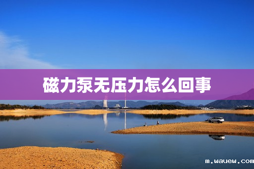 磁力泵无压力怎么回事 磁力泵无压力怎么回事