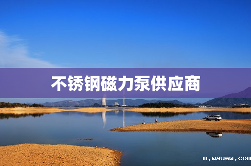 不锈钢磁力泵供应商 不锈钢磁力泵供应商