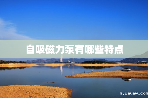 自吸磁力泵有哪些特点 自吸磁力泵有哪些特点