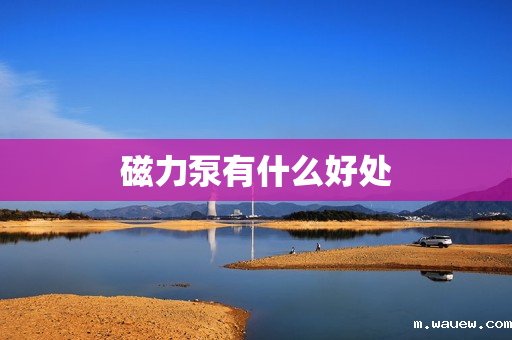 磁力泵有什么好处 磁力泵有什么好处