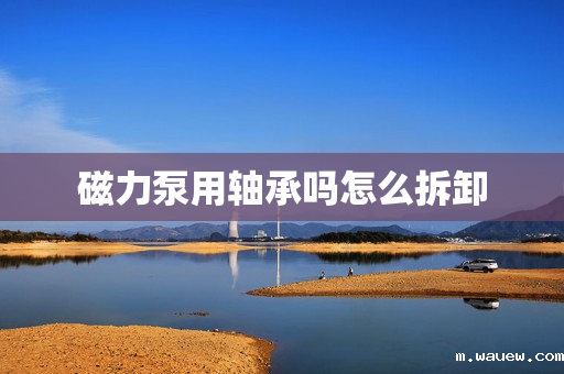 磁力泵用轴承吗怎么拆卸 磁力泵用轴承吗怎么拆卸