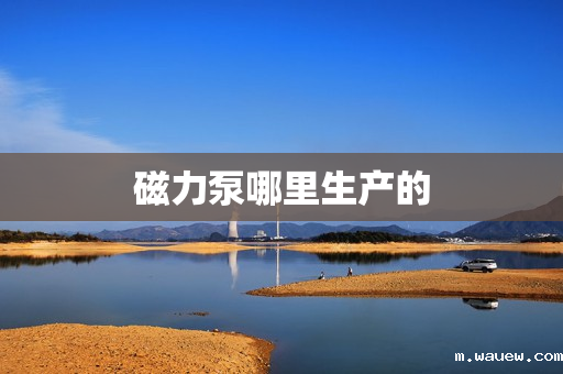 磁力泵哪里生产的 磁力泵哪里生产的