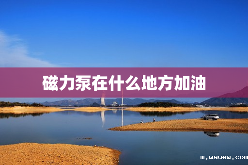 磁力泵在什么地方加油 磁力泵在什么地方加油